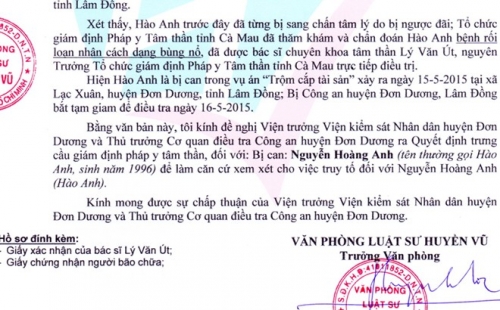 Pháp luật - Công an đề nghị truy tố Hào Anh