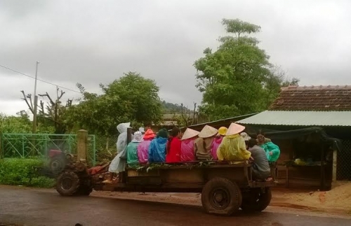 Xã hội - Xe công nông, xe tự chế ‘đại náo’ các quốc lộ ở Gia Lai (Hình 2).