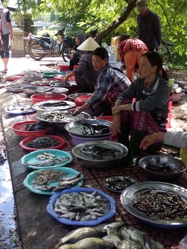 Pháp luật - Thừa Thiên - Huế: Chợ tự phát đua nhau mọc giữa hè phố (Hình 3).