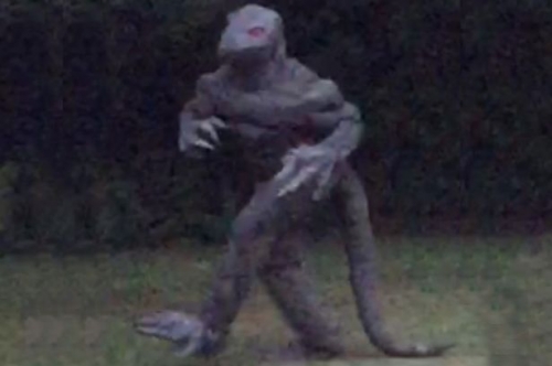 C&ocirc;ng nghệ - Hoảng hồn ph&aacute;t hiện sinh vật b&iacute; ẩn cao 2m giống người thằn lằn ở Mỹ