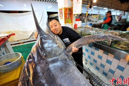Công nghệ - Ngư dân Trung Quốc bắt được cá kiếm dài 4 mét, nặng hơn 300 kg (Hình 3).