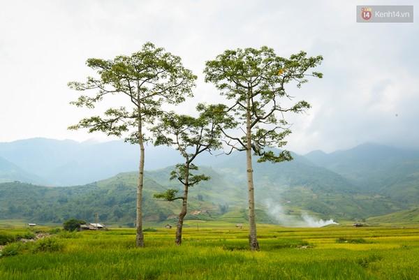 Xã hội - Chùm ảnh: Tây Bắc đẹp đến nao lòng trong nắng đầu thu