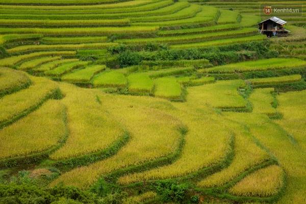 Xã hội - Chùm ảnh: Tây Bắc đẹp đến nao lòng trong nắng đầu thu (Hình 2).