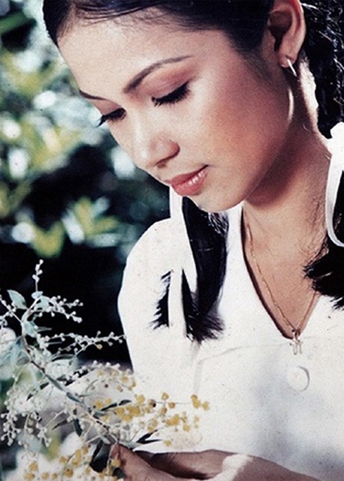 Giải trí - Việt Trinh và những vai diễn để đời trên màn ảnh
