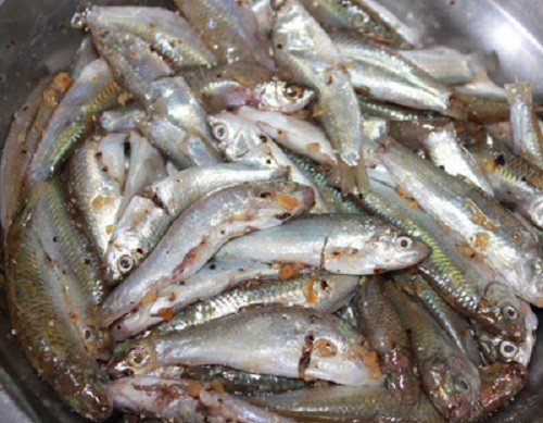Xã hội - Về miền Tây Nam Bộ thưởng thức cá linh kho tiêu (Hình 2).