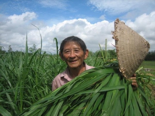 Xã hội - Vì sao Hồ Giáo được mến yêu và tặng 2 lần danh hiệu anh hùng?