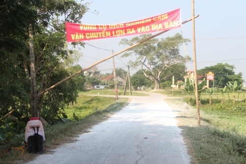 Đời sống - Công bố dịch lợn tai xanh, người dân Nghệ An đau đớn khi đi tiêu hủy (Hình 2).