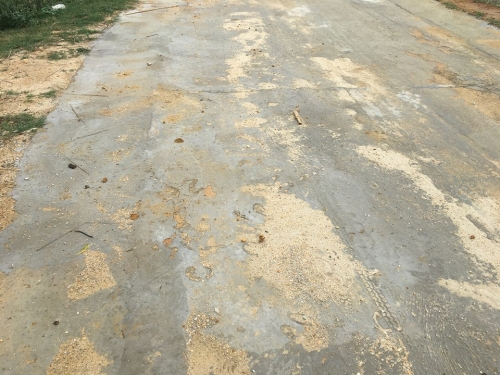 Kinh doanh - Đường hỏng, nhà thầu tìm cách 'che khuyết điểm' trước khi bàn giao (Hình 2).