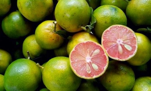 Xã hội - Cách ngâm chanh đào mật ong trị ho cực hiệu quả ngay tại nhà