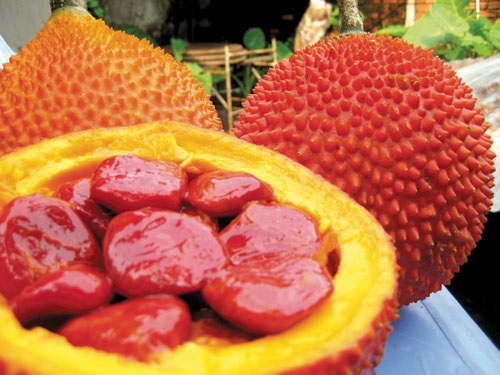 Đời sống - C&aacute;ch l&agrave;m dầu gấc đơn giản tại nh&agrave;