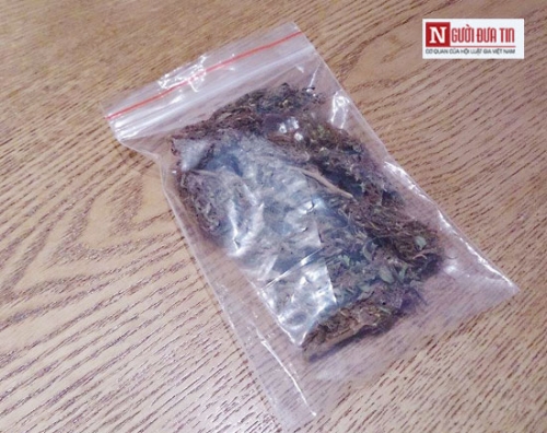 Đời sống - Th&acirc;m nhập thế giới d&acirc;n chơi: Một lần l&agrave;m 'thanh ni&ecirc;n chuy&ecirc;n cần'