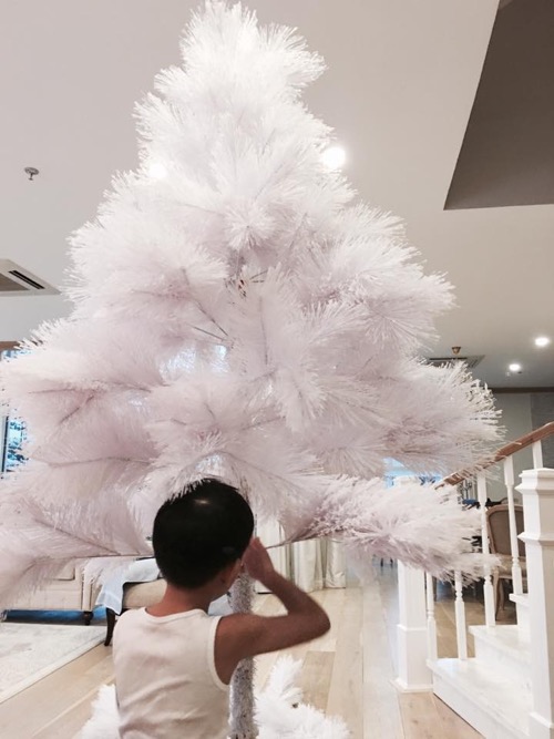 Giải tr&iacute; - Hồ Ngọc H&agrave; c&ugrave;ng Subeo tự tay trang tr&iacute; c&acirc;y th&ocirc;ng Noel (H&igrave;nh 5).