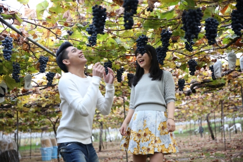 Giải trí - Noo Phước Thịnh tung MV mới lung linh ‘hớp hồn’ fan (Hình 3).