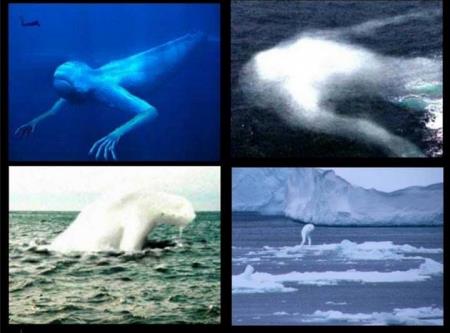 C&ocirc;ng nghệ - Sốc khi ph&aacute;t hiện sinh vật lạ h&igrave;nh dạng giống người ở Nam Cực (H&igrave;nh 2).