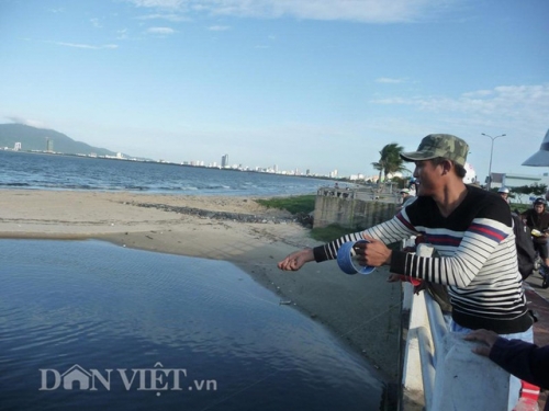 Xã hội - 'Tuyệt chiêu' câu cá không dùng cần, lưỡi: Vài tiếng kiếm nửa triệu (Hình 4).