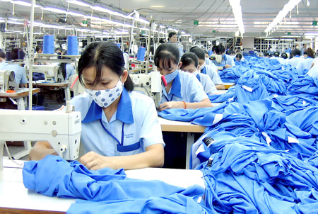 Kinh doanh - Người lao động được gì từ luật Bảo hiểm xã hội mới?