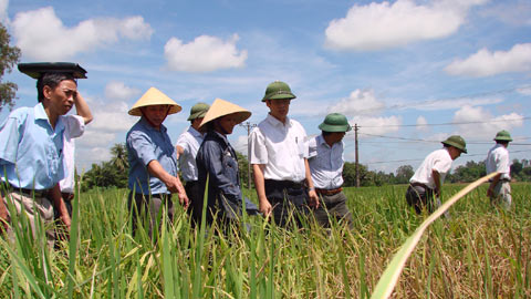 Xã hội - Tỉnh 'lạm phát' cấp phó: Tại thế hệ trước để lại