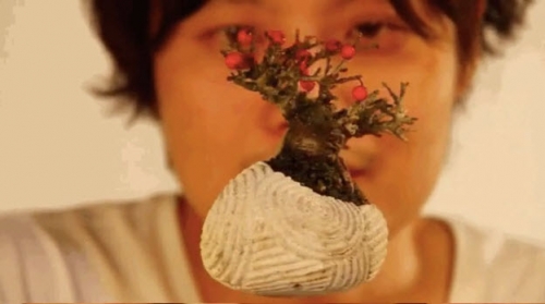 Giải trí - Video: Phát sốt với cây bonsai biết bay giá 4 triệu đồng (Hình 2).