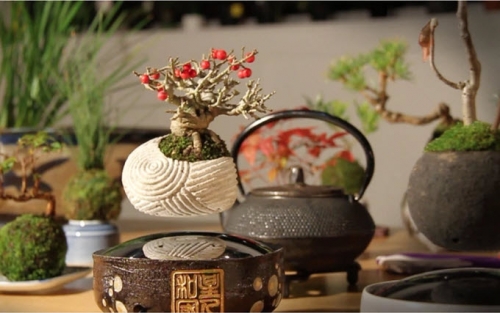 Giải trí - Video: Phát sốt với cây bonsai biết bay giá 4 triệu đồng (Hình 3).