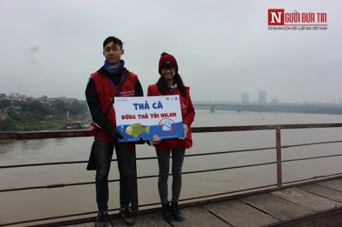 Xã hội - Tết ông Công ông Táo: Thả cá đừng thả túi ni lông!