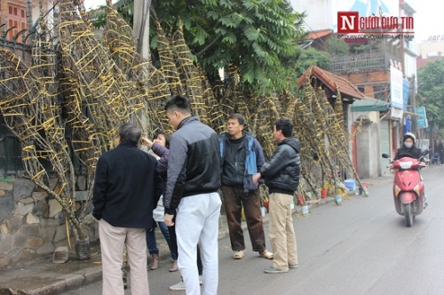 Xã hội - Đào rừng giá khủng la liệt khoe sắc tại các chợ hoa Hà Nội (Hình 2).