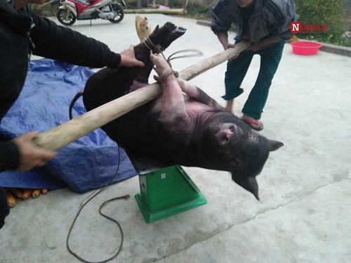 X&atilde; hội - Mục sở thị m&acirc;m c&uacute;ng ng&agrave;y 30 Tết của gia đ&igrave;nh người T&agrave;y Y&ecirc;n B&aacute;i (H&igrave;nh 3).