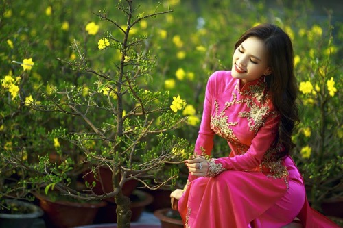 Giải trí - Phi Huyền Trang đẹp diu dàng trong tà áo dài đón xuân (Hình 2).