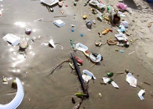 Xã hội - Choáng cảnh bãi biển Vũng Tàu ngập đầy rác ngày Tết (Hình 3).