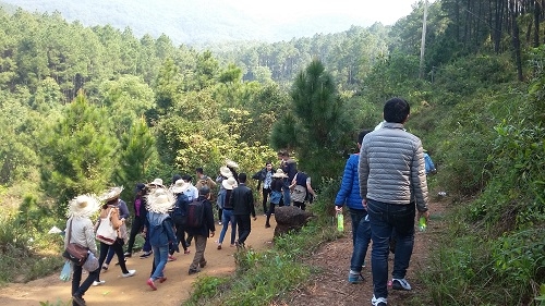 Xã hội - Đầu năm, hàng vạn người đổ về chùa Hương Tích cầu may (Hình 5).