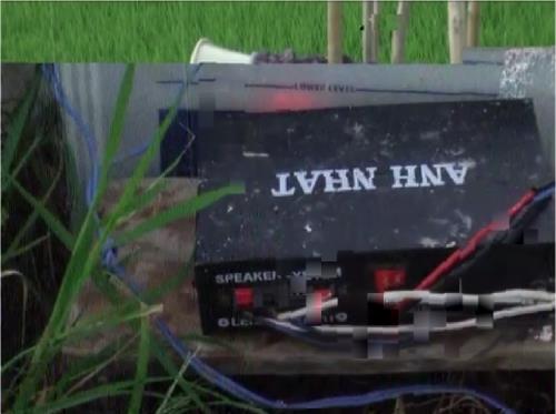 X&atilde; hội - Theo ch&acirc;n thợ săn 'tận diệt chim, c&ograve;' (H&igrave;nh 2).