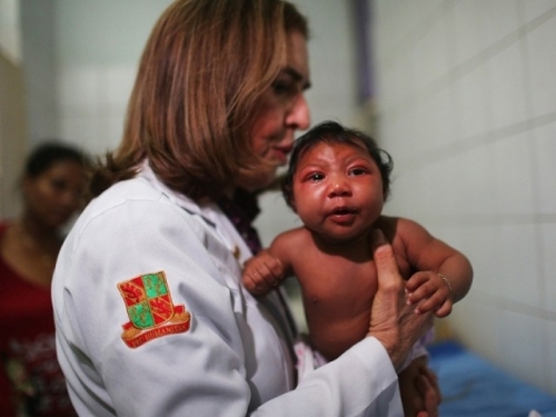 Đời sống - Ông già Ozon khẳng định có thể tìm ra cách diệt virus Zika