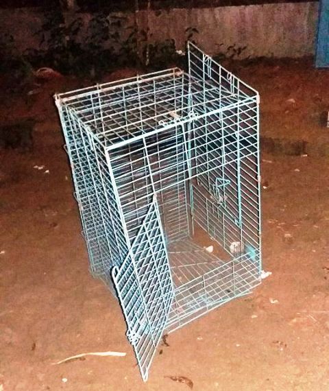 Pháp luật - Người đàn ông ngang nhiên mang búa đập phá nhà hàng xóm (Hình 4).