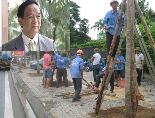 Xã hội - GS Nguyễn Lân Dũng: ‘Đi nước ngoài học trồng cây người ta cười cho'