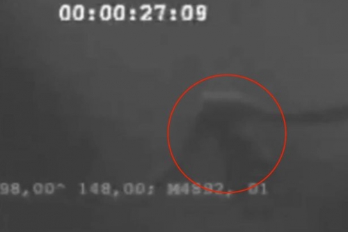 Công nghệ - Video: Phát hiện quái vật biển Ningen dài 27m đang bơi ở Nam Cực?