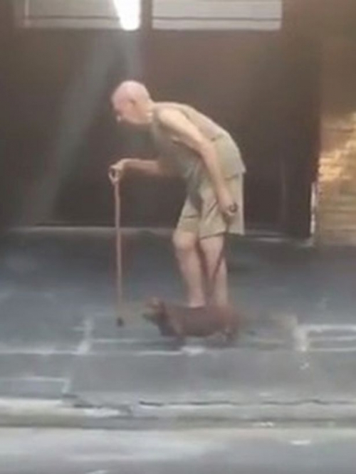 Đời sống - Tình cảm giữa chú chó và cụ ông khiến nhiều người ngưỡng mộ [VIDEO]