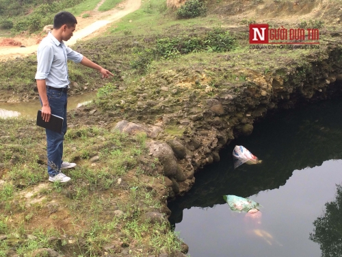 Ph&aacute;p luật - Lợn chết vứt la liệt, Chủ tịch x&atilde; n&oacute;i kh&ocirc;ng biết, dị ứng b&aacute;o ch&iacute;