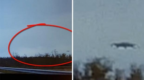 Công nghệ - Hoảng hồn phát hiện đĩa bay UFO lơ lửng ngay trên ngọn cây
