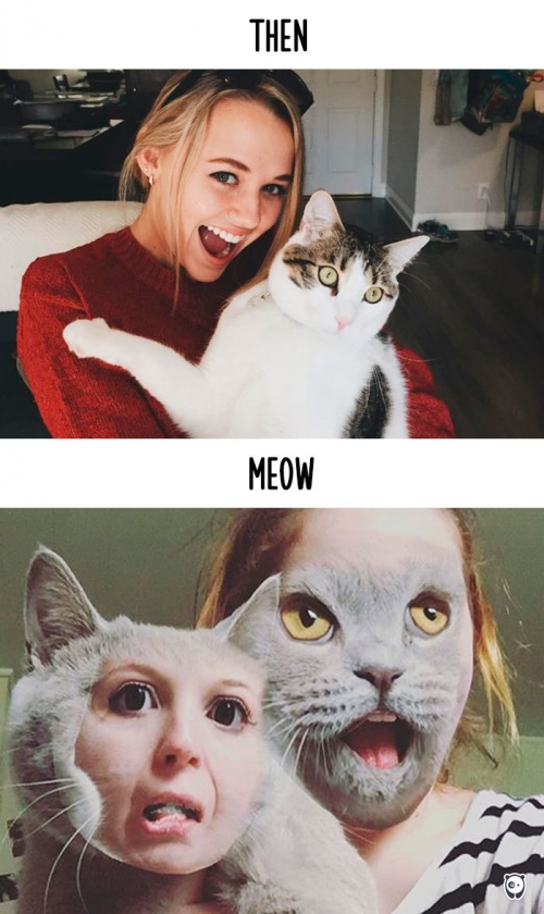 Đời sống - Bật cười với ch&ugrave;m ảnh cuộc sống của m&egrave;o trong thời đại c&ocirc;ng nghệ (H&igrave;nh 13).