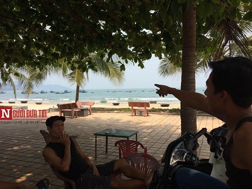 Pháp luật - Đà Nẵng phản hồi thông tin cá chết trôi vào bờ biển