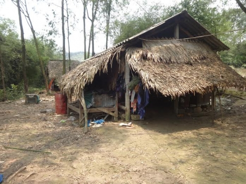 Đời sống - Cơ cực những bữa ch&aacute;o rau m&aacute;, ch&aacute;o khoai trong căn nh&agrave; tuềnh to&agrave;ng