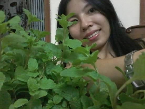Xã hội - Cận cảnh gia đình Sài thành trồng rau, nuôi gà trên sân thượng