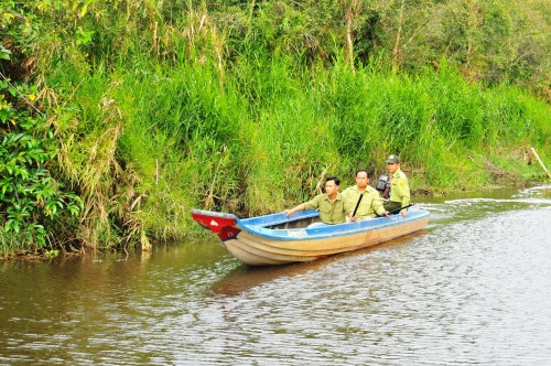 Xã hội - Đầu mùa mưa, cảnh giác với nguy cơ cháy rừng