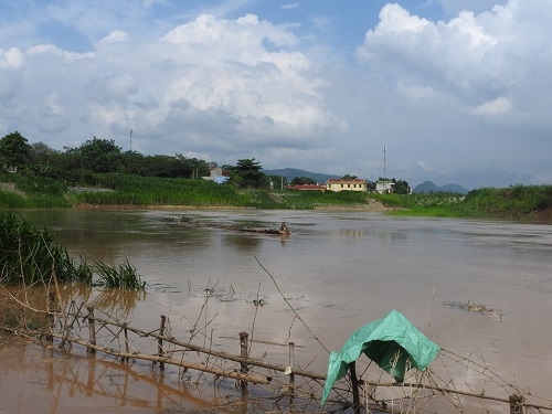 Xã hội - Mưa lớn, nước lũ tràn về, nhiều cầu tạm trên sông Bưởi bị cuốn trôi (Hình 2).