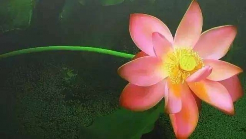 Đời sống - 9 phát ngôn hàng triệu người phải lưu giữ của bậc thầy phong thủy (Hình 2).