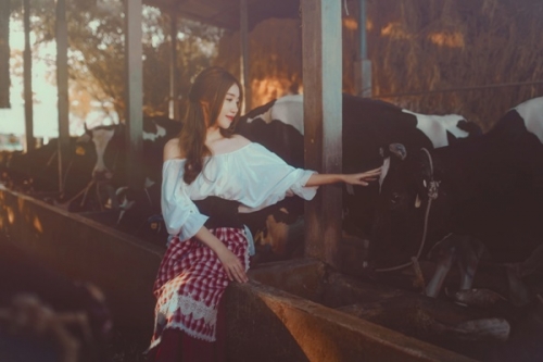 Giải tr&iacute; - Elly Trần g&acirc;y sốt bằng bộ ảnh h&oacute;a Lọ Lem tại trang trại b&ograve; (H&igrave;nh 5).