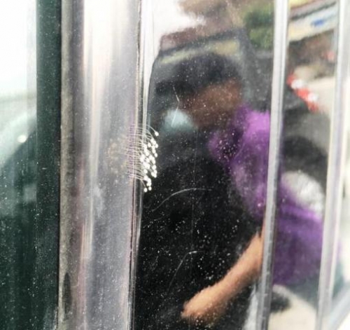 Xã hội - Về quê ăn giỗ, phát hiện hoa Ưu đàm 3000 năm nở trên xế hộp? (Hình 2).