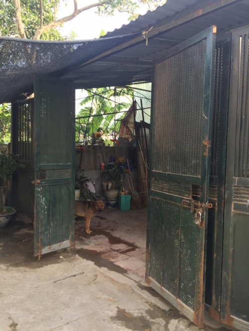 Kinh doanh - Cận cảnh căn nhà cấp 4 tạm bợ, tuềnh toàng của NS Hán Văn Tình (Hình 2).