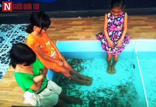 Xã hội - Cận cảnh những ‘nhân viên’ massage tí hon hút giới trẻ (Hình 3).