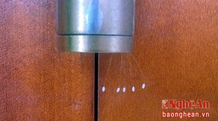 Xã hội - Thầy giáo phát hiện hoa Ưu đàm 3000 năm mới nở trên bản lề cửa?