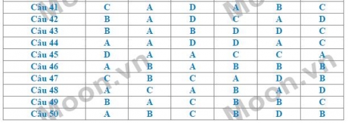 Xã hội - Đáp án đề thi môn Vật lý THPT Quốc gia năm 2016 đầy đủ 6 mã đề (Hình 3).